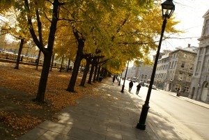 Montreal at Fall