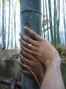 Honeymooners in the Bamboo Forrest, Kyoto Japan