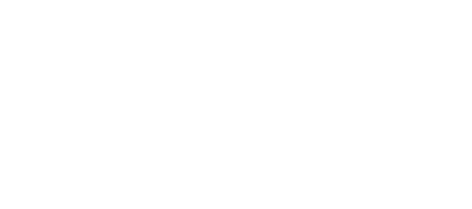 Nashville-Scene-Logo-White